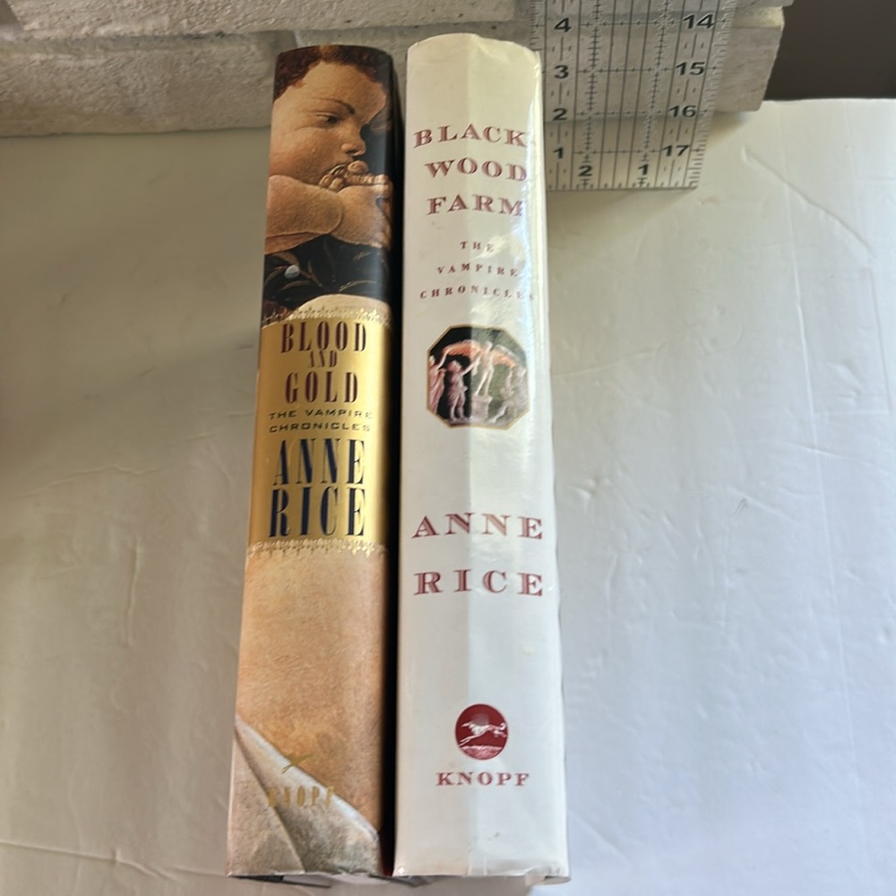 Anne Rice Vampire Chronicles Book Set - Picture 6 of 6